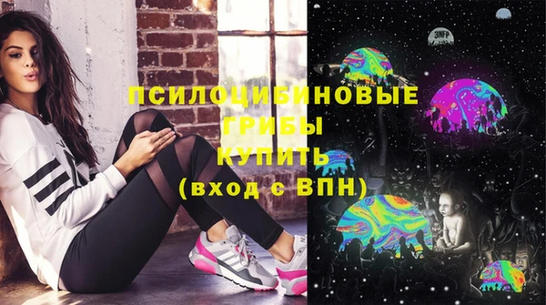 гидра Липки