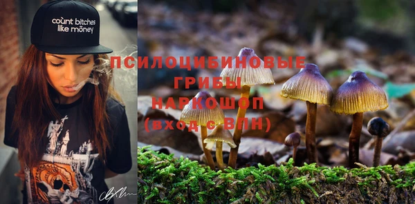 трава Ладушкин